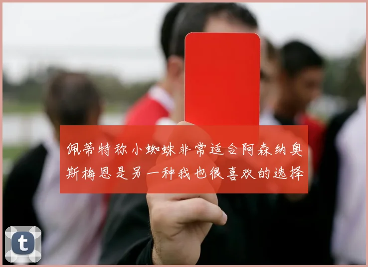 佩蒂特称小蜘蛛非常适合阿森纳奥斯梅恩是另一种我也很喜欢的选择