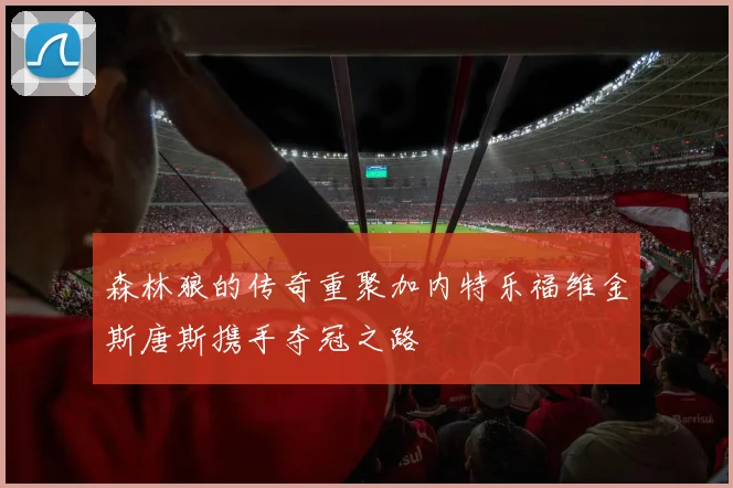 森林狼的传奇重聚加内特乐福维金斯唐斯携手夺冠之路